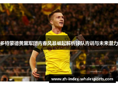 多特蒙德黄黑军团青春风暴崛起解析球队青训与未来潜力